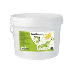 Excellent Sweet Blocks