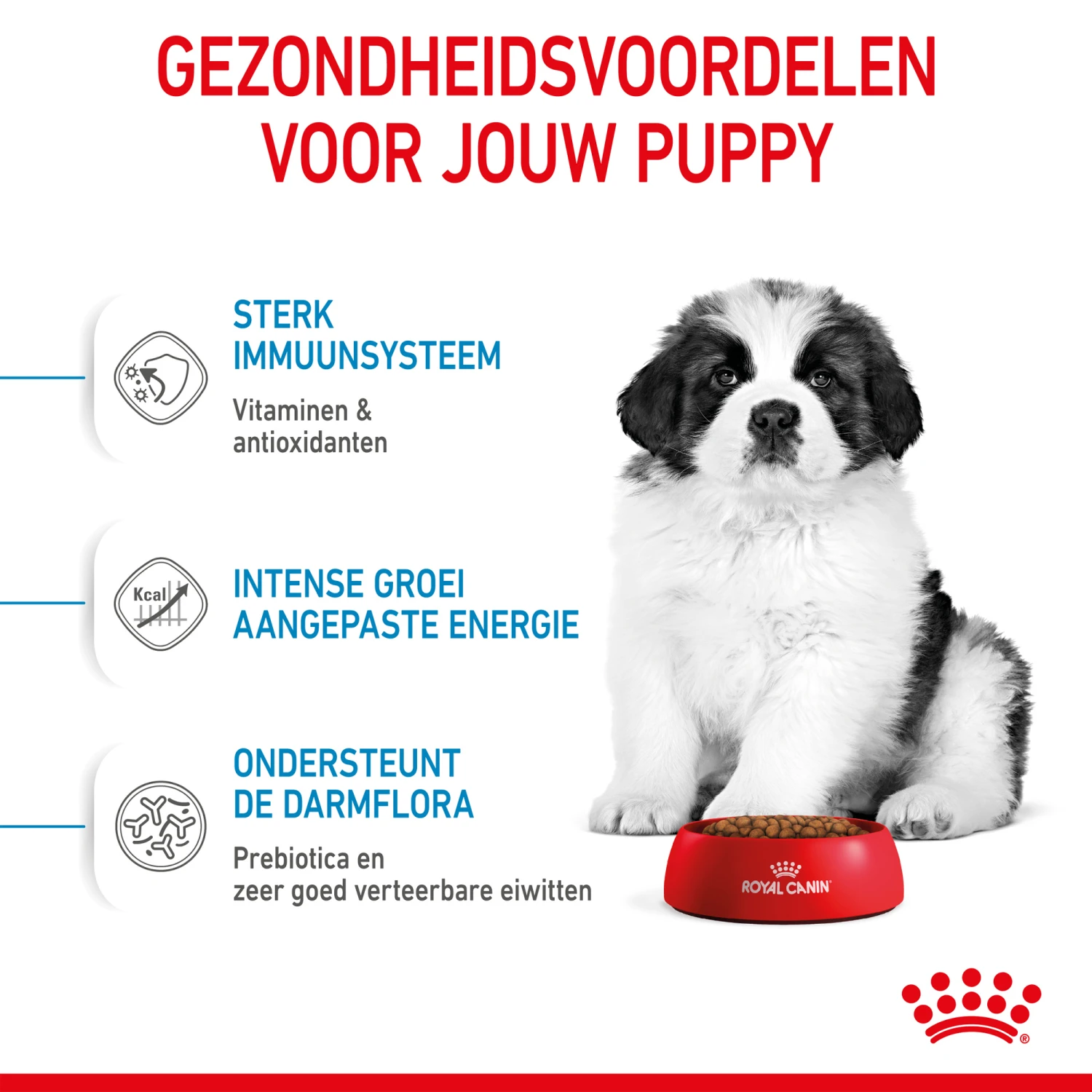 Royal Canin Giant Puppy - Hondenvoer - Afbeelding 6
