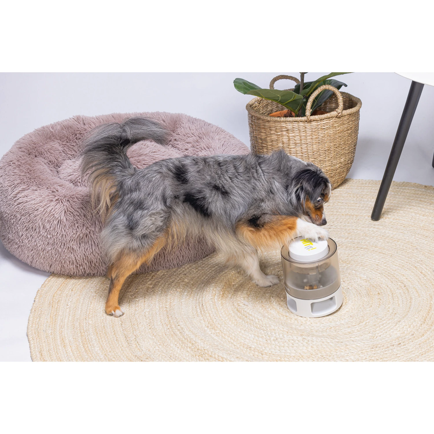 Beeztees Brain Game Delicious - Afbeelding 5