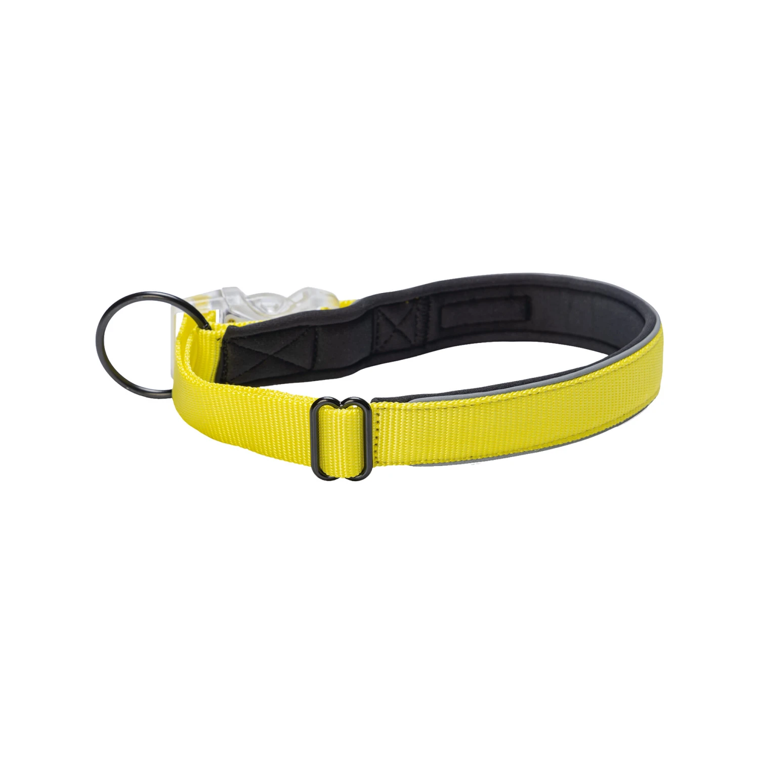 Beeztees Safety Gear Parinca Premium Halsband - Afbeelding 6