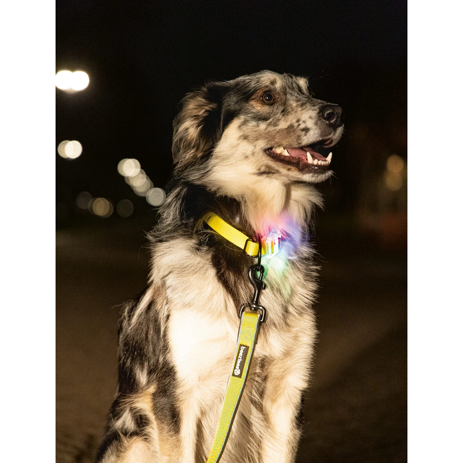 Beeztees Safety Gear Parinca Premium Halsband - Afbeelding 10