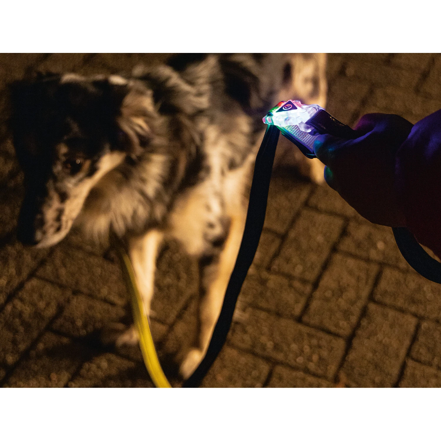 Beeztees Safety Gear Parinca Premium Hondenriem - Afbeelding 7