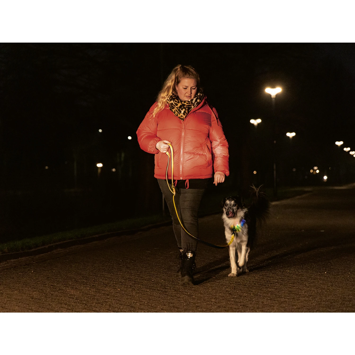 Beeztees Safety Gear Parinca Premium Hondenriem - Afbeelding 10