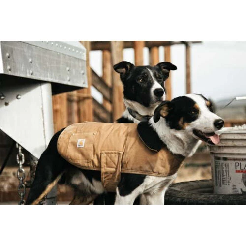 Carhartt Dog Chore Coat - Afbeelding 6