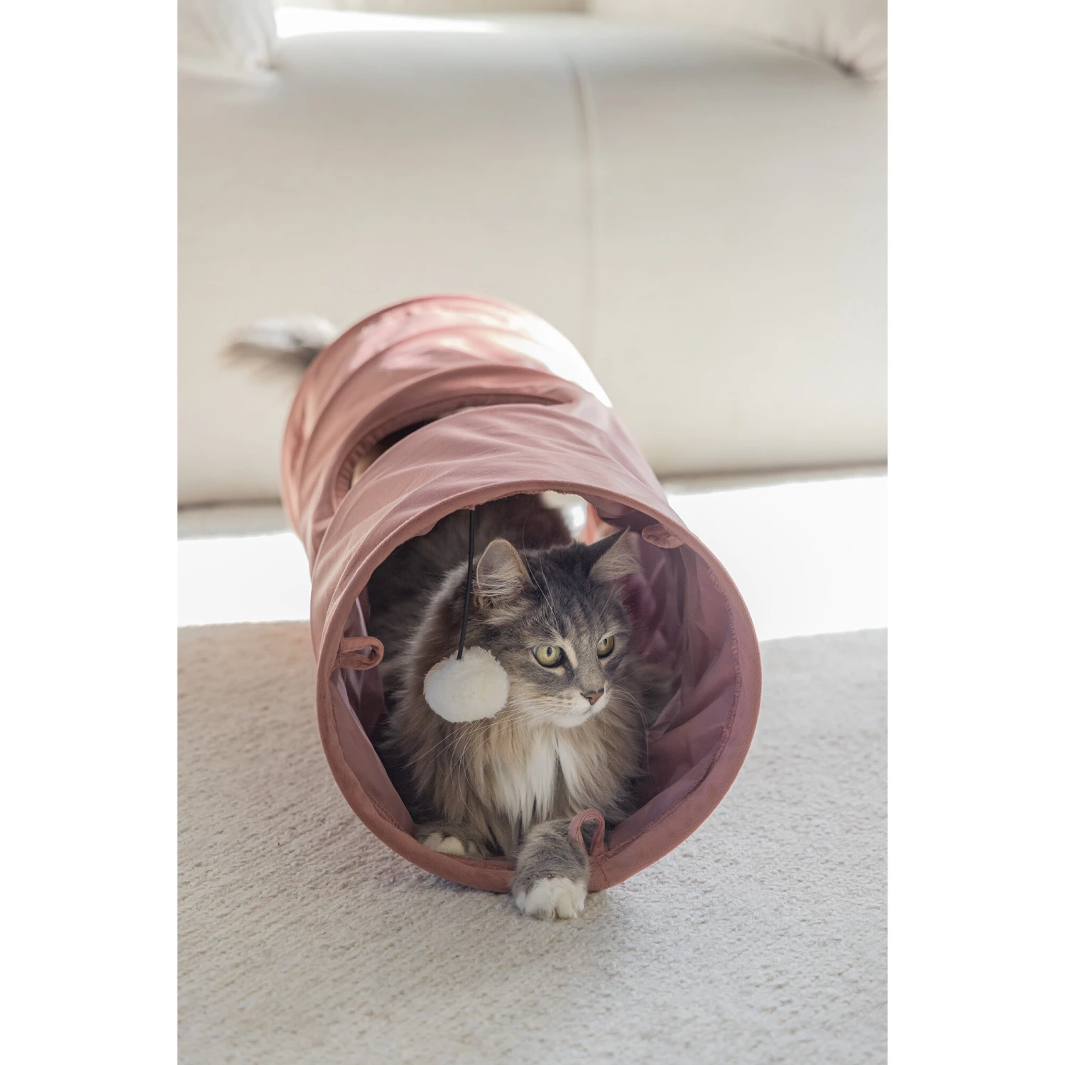 Designed By Lotte Kattentunnel Cylla - Afbeelding 12