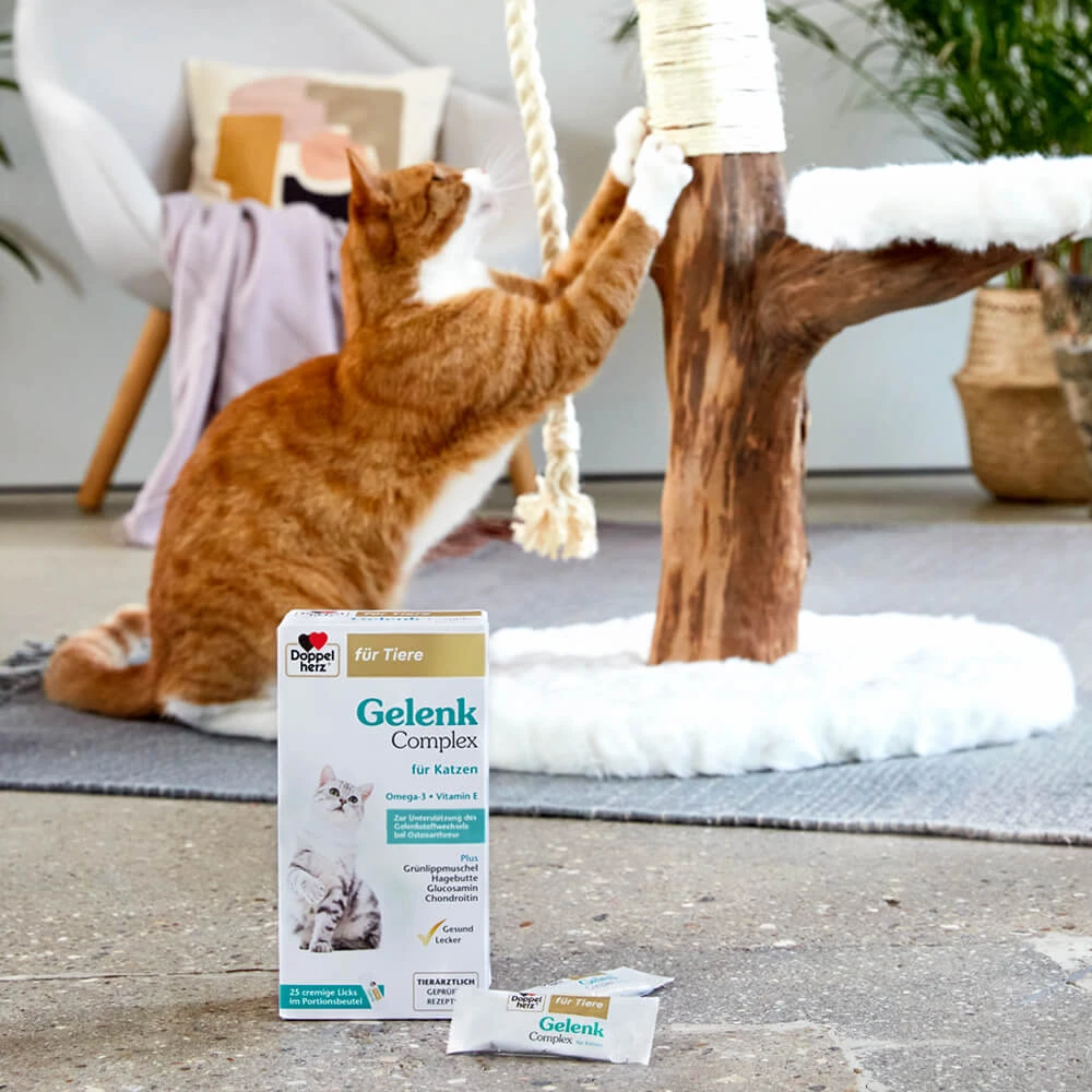 Doppelherz Gelenk Complex Voor Katten - Afbeelding 5