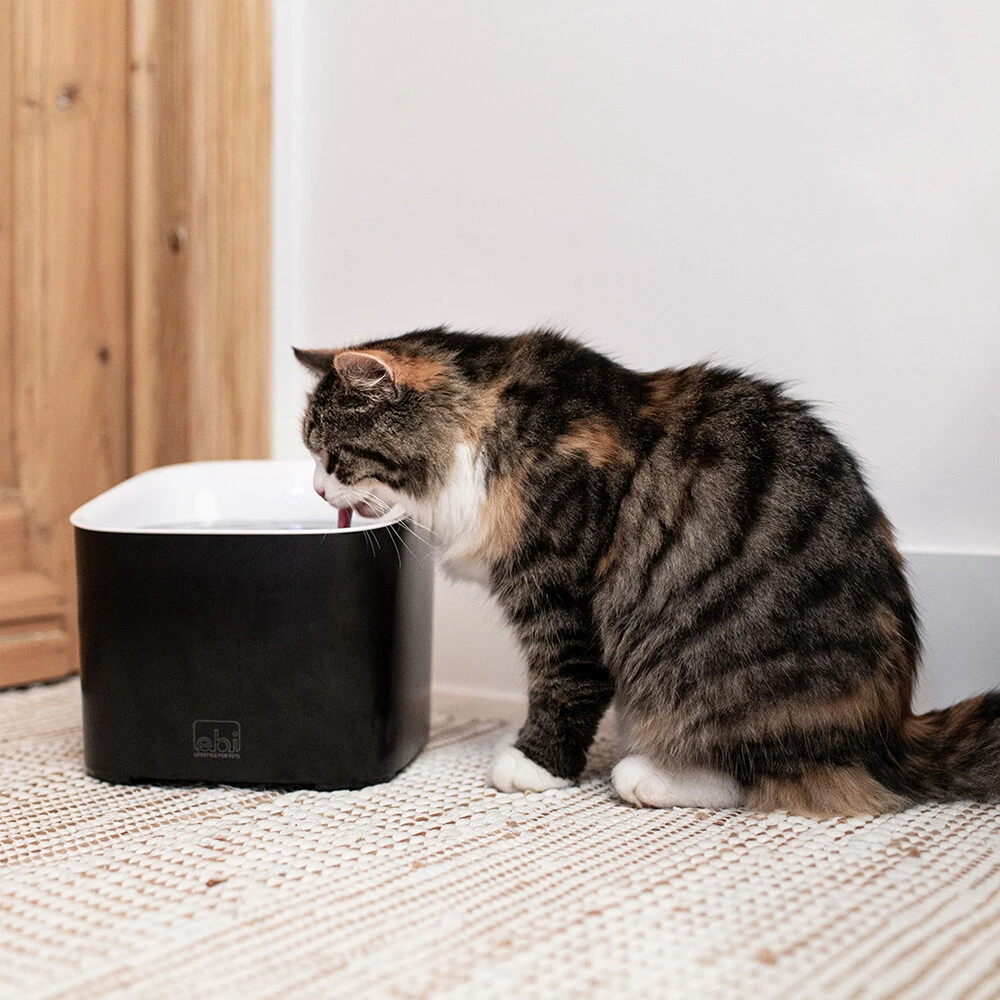 Ebi Manoa Drinkfontein - Afbeelding 7