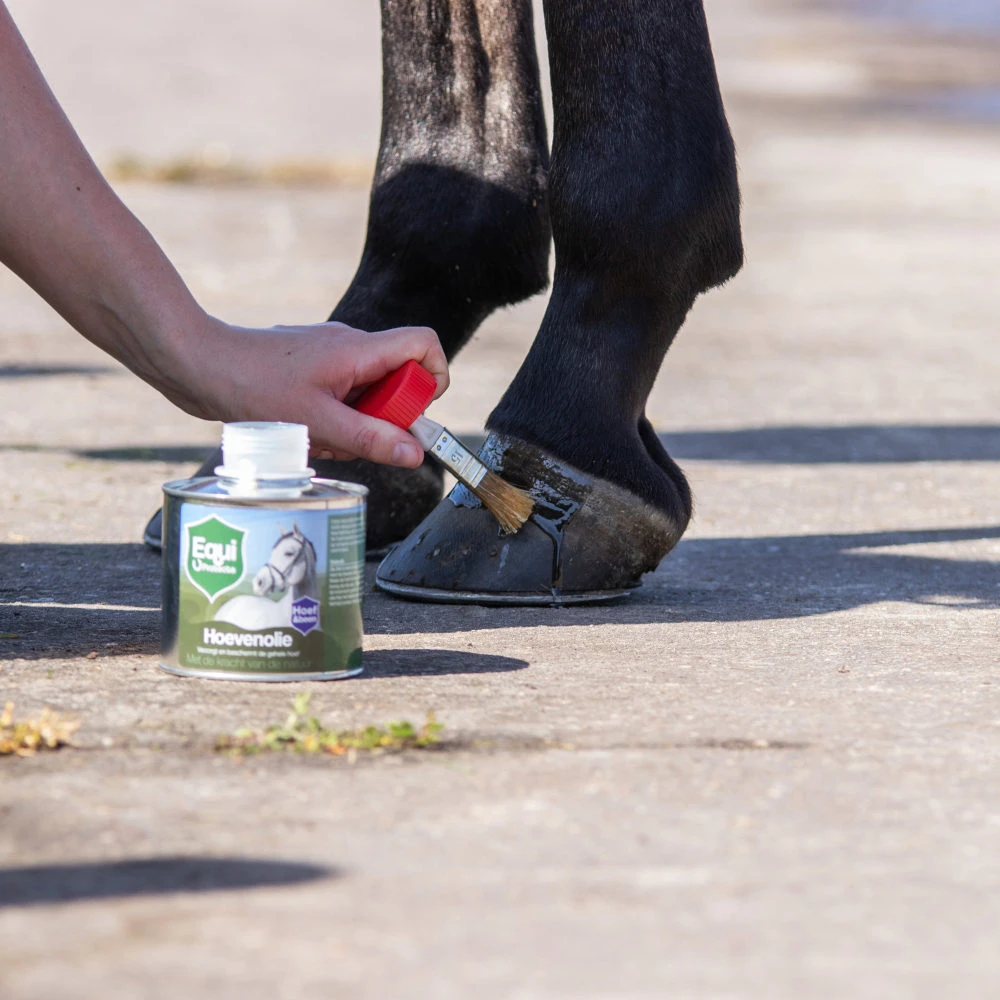 Equi Protecta Hoevenolie - Afbeelding 3