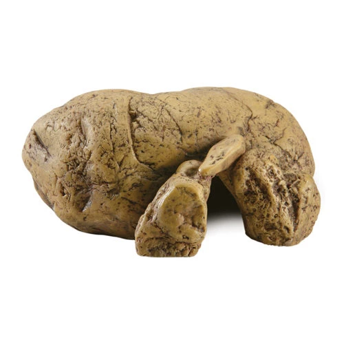 Exo Terra Reptielengrot - Afbeelding 8