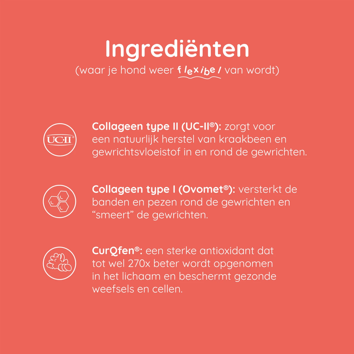 Greenfields Mobility+ - Afbeelding 6