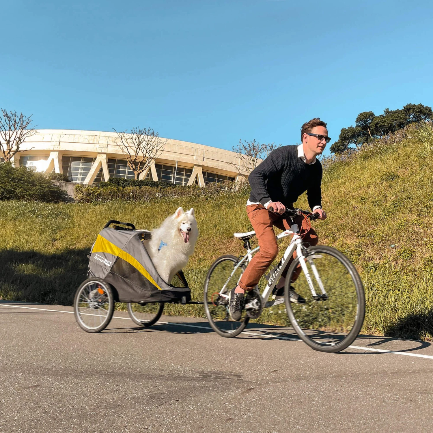 InnoPet Buggy Hercules - Afbeelding 6