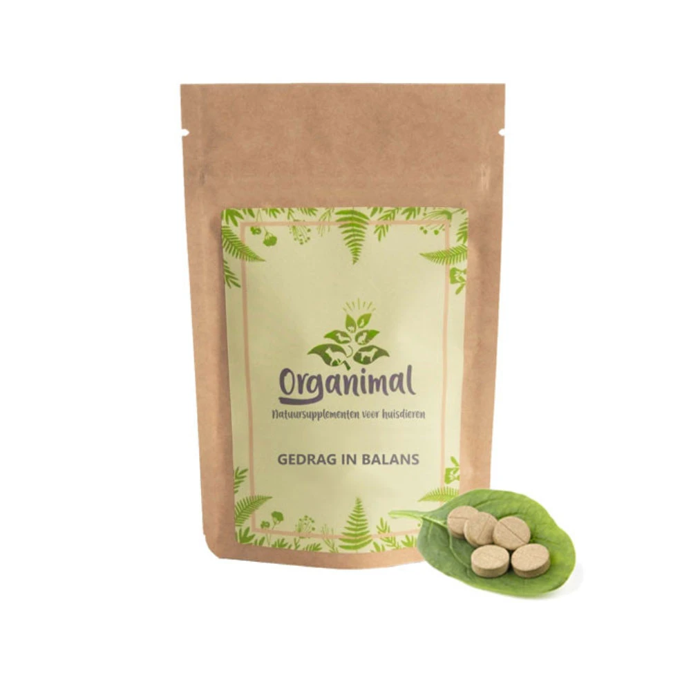 Organimal Gedrag In Balans - Kat - Afbeelding 2