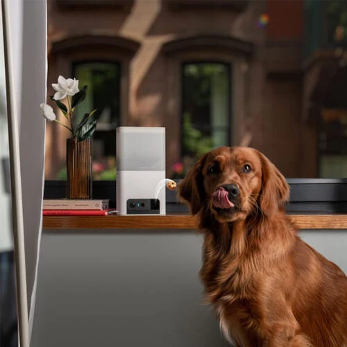 Petcube Bites 2 Lite - Afbeelding 5