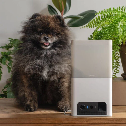 Petcube Bites 2 Lite - Afbeelding 6