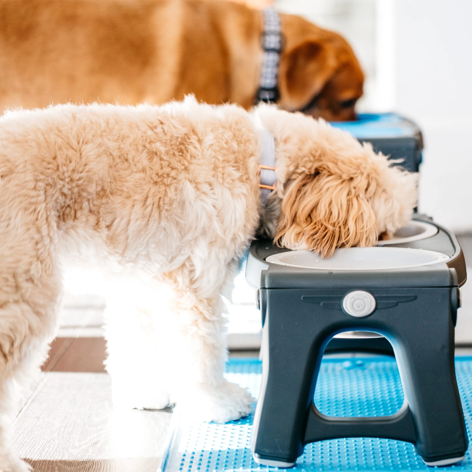 Popware Adjustable Height Pet Feeder - Afbeelding 11