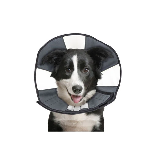 ZenPet Zen Collar - Afbeelding 6