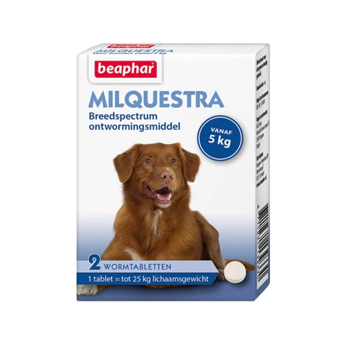 Beaphar Milquestra Hond - Afbeelding 2