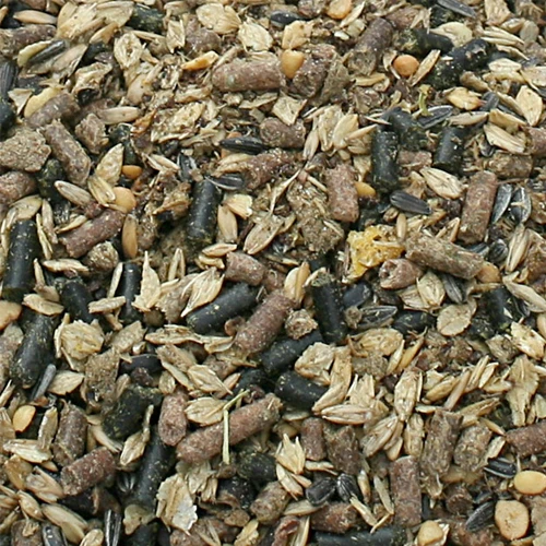 Bonpard Motility - Afbeelding 3