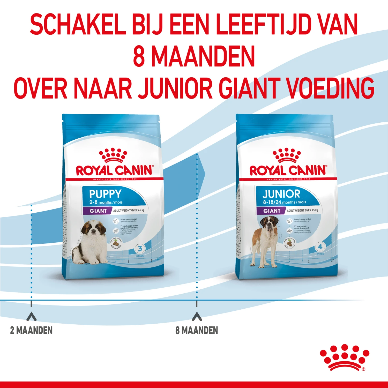 Royal Canin Giant Puppy - Hondenvoer - Afbeelding 8