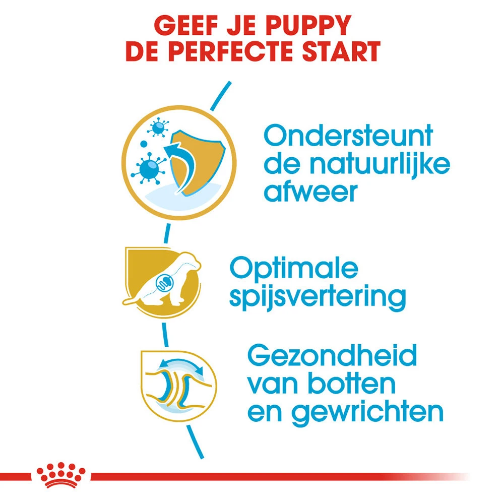 Royal Canin German Shepherd Puppy- Hondenvoer - Afbeelding 5