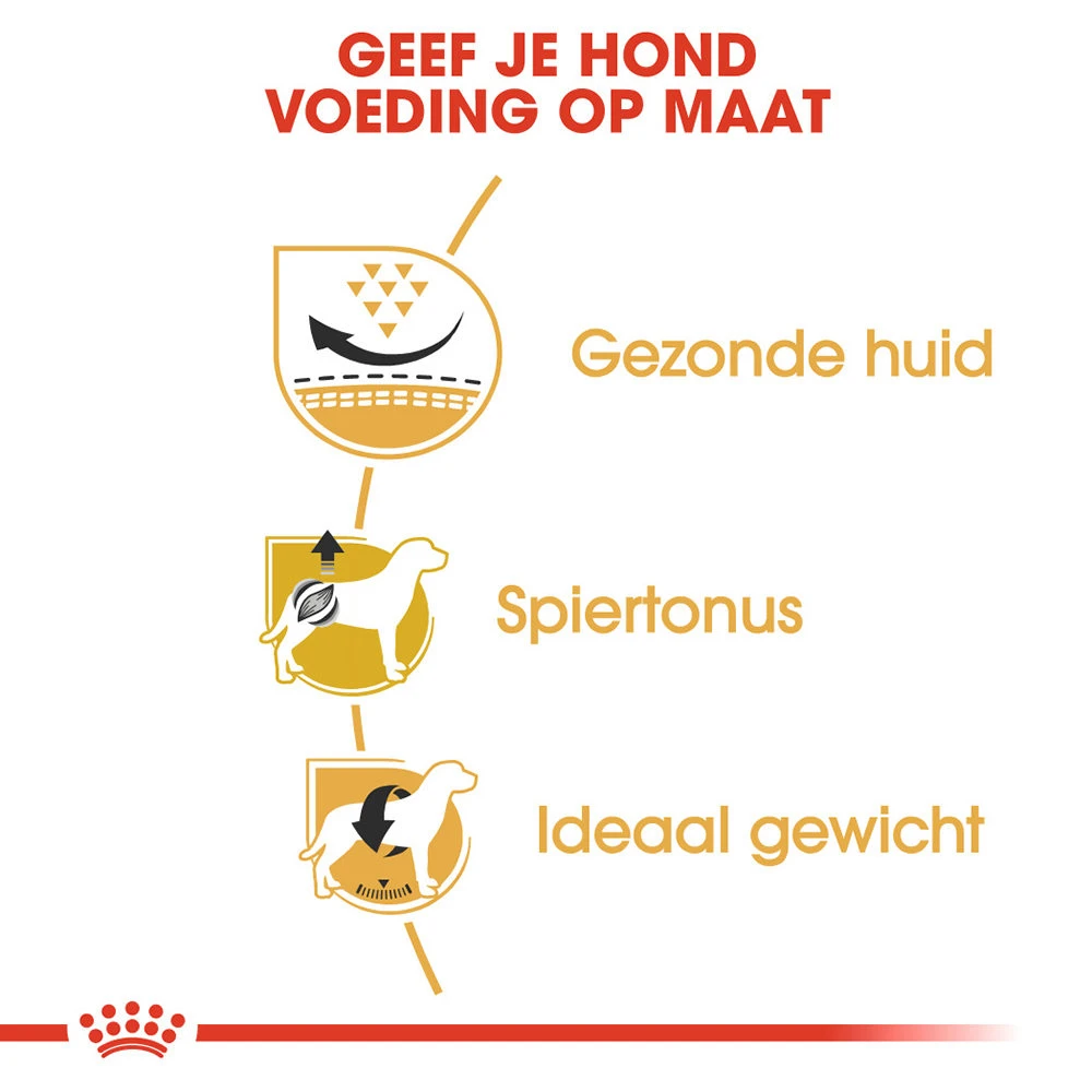Royal Canin Pug Adult - Hondenvoer - Afbeelding 5