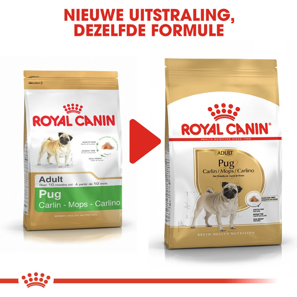 Royal Canin Pug Adult - Hondenvoer - Afbeelding 8