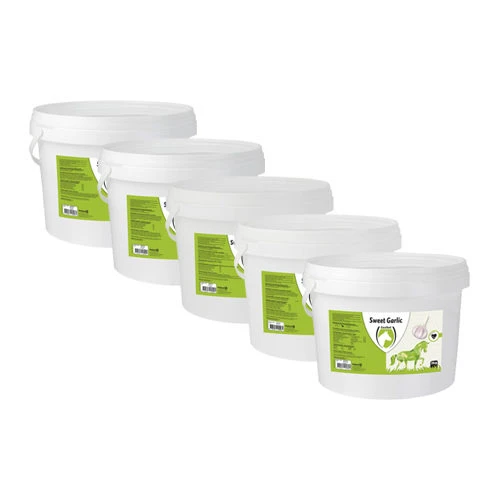 Excellent Sweet Blocks - Afbeelding 3