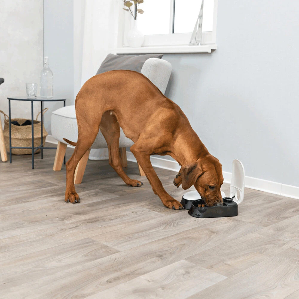 Trixie Dubbele Voederautomaat TX2 - Afbeelding 4