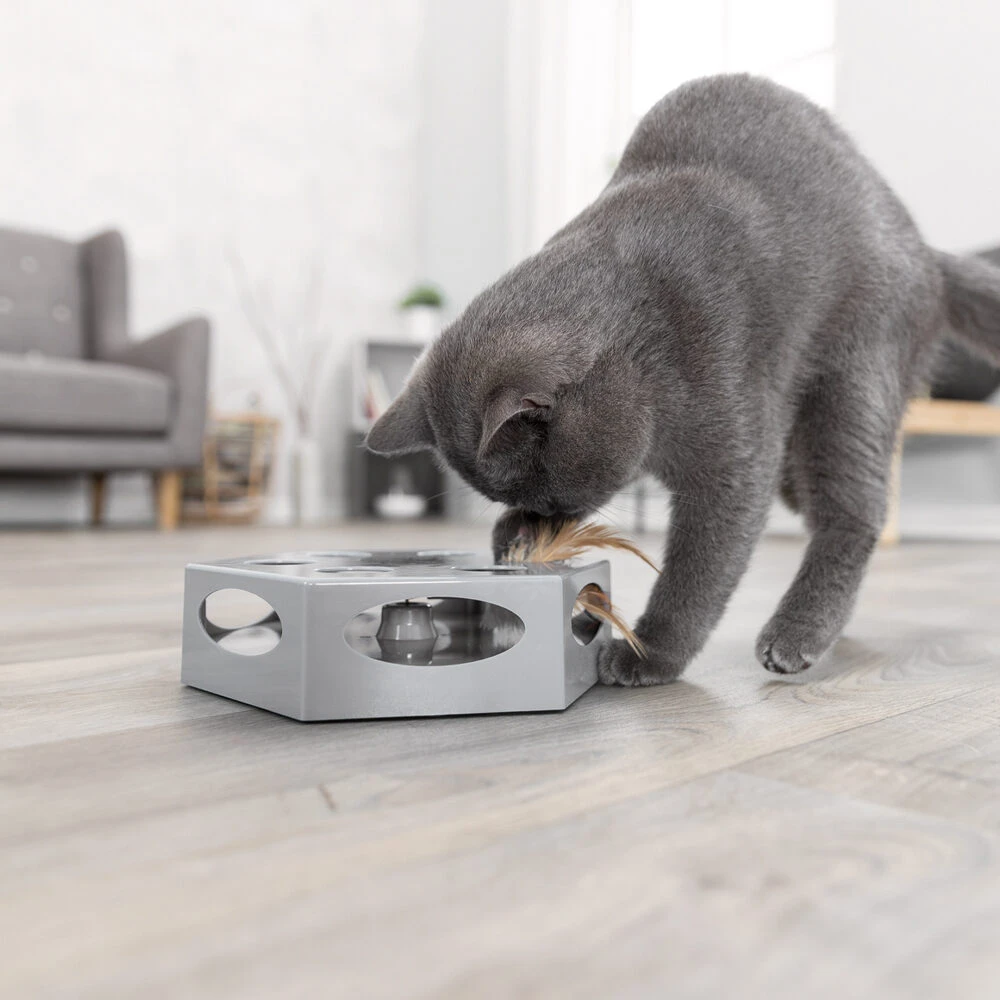 Trixie Turning Feather - Afbeelding 4