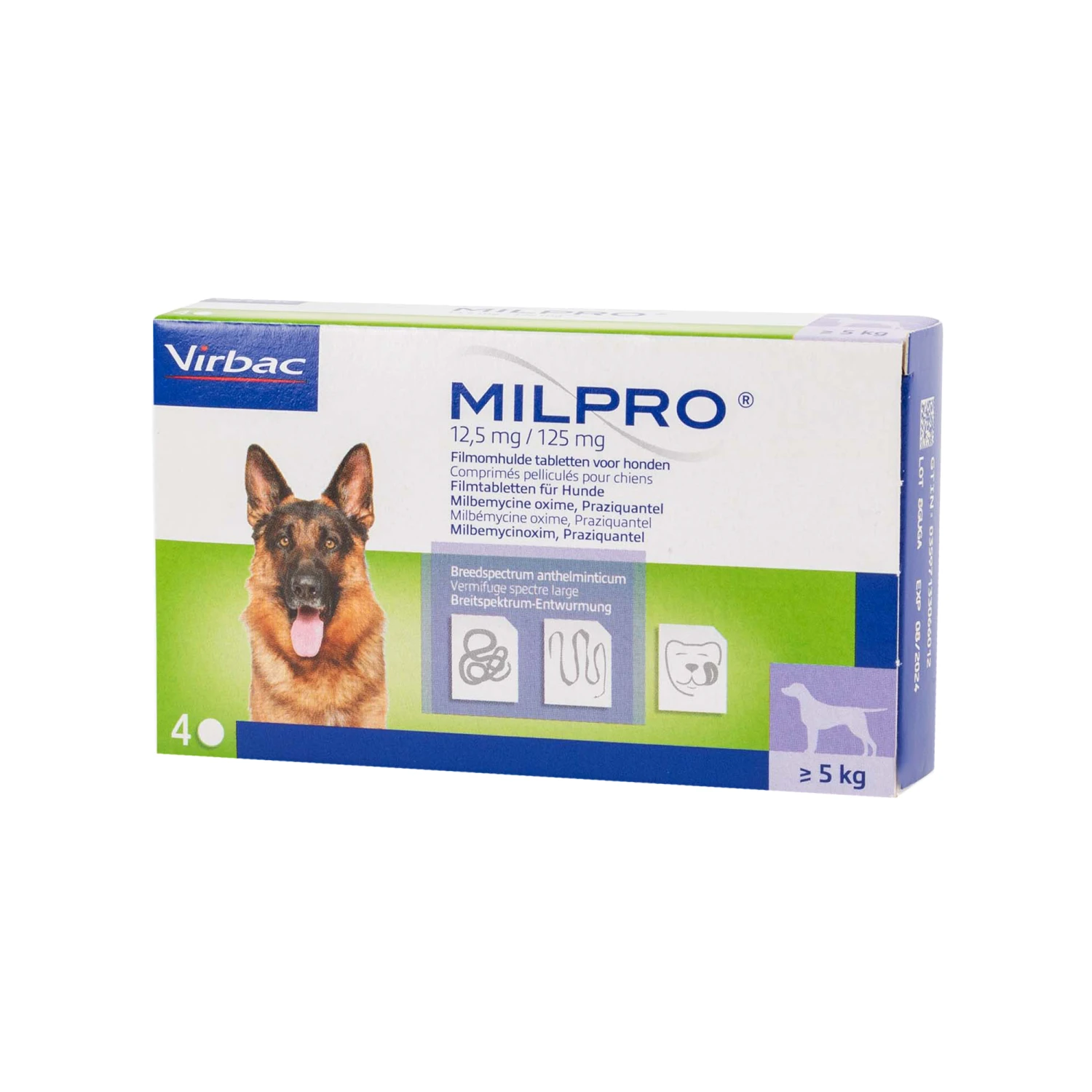 Milpro Hond