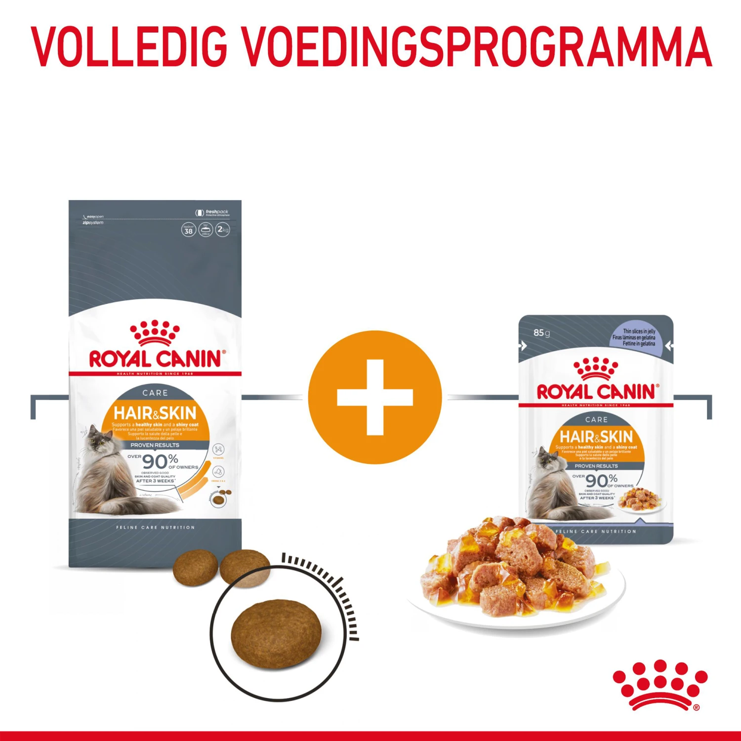 Royal Canin Hair & Skin In Jelly - Kattenvoer - Afbeelding 6